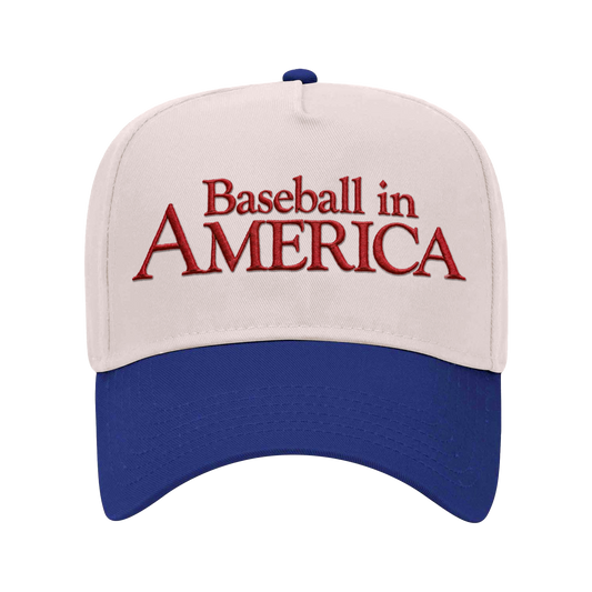 Embroidered Baseball in America Hat [PRE-ORDER]